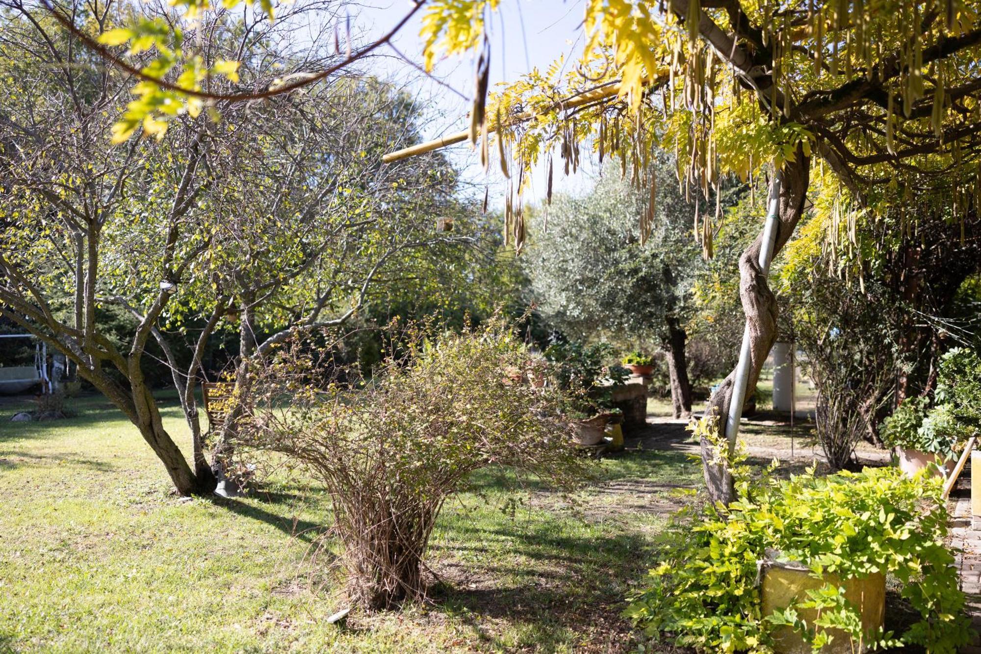 Locanda Acetaia Malagoli Daniele Castelfranco Emilia Exterior foto